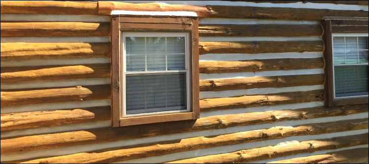 Log Home Whole Log Replacement  Taliaferro County, Georgia